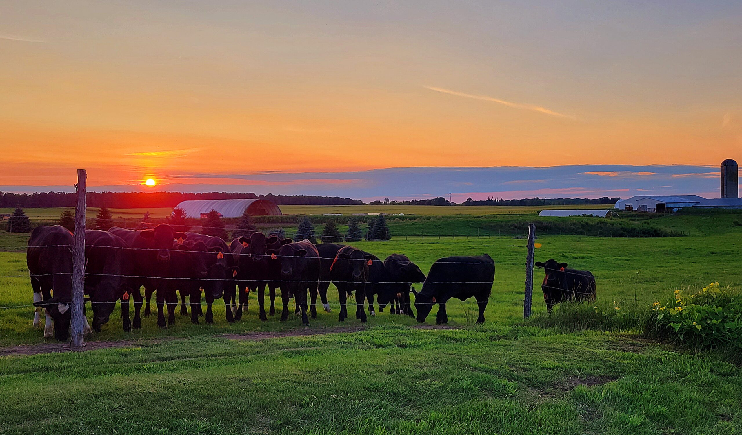 <strong>Agriculture</strong> is the Backbone of our Community